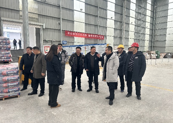 2024.12.18國家礦監局楊凌云副司長一行蒞臨大業礦山調研指導_1.jpg